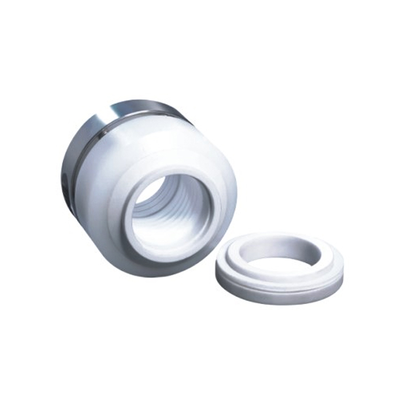 PTFE Bellows Mechanical Seal for Chemical Pump